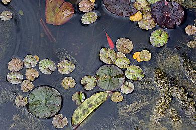 《帝国霸业：银河生存》新收费DLC《Dark Faction》2月推出